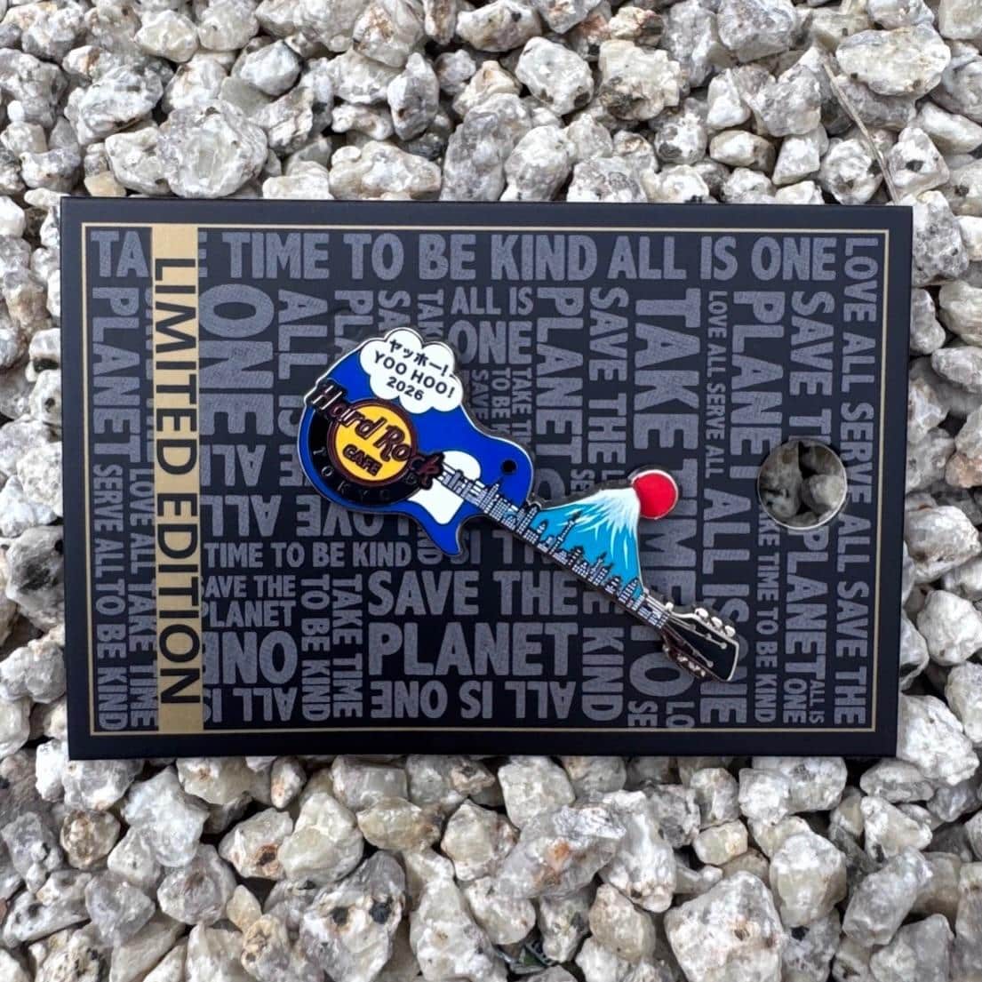 🎸 2026 June Pin 登場！ 🗻